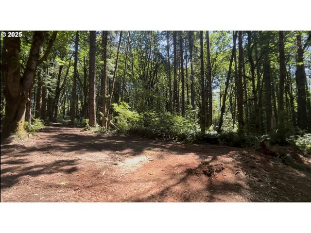 0 Ne 171st Ct, Yacolt, WA 98675