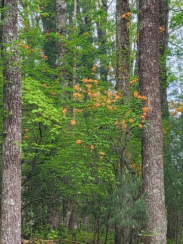 210 Mcdaniel Lane, Suches, GA 30572