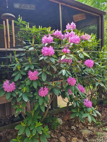 210 Mcdaniel Lane, Suches, GA 30572