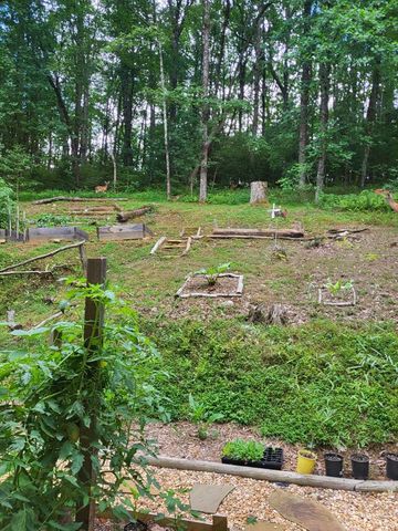 210 Mcdaniel Lane, Suches, GA 30572