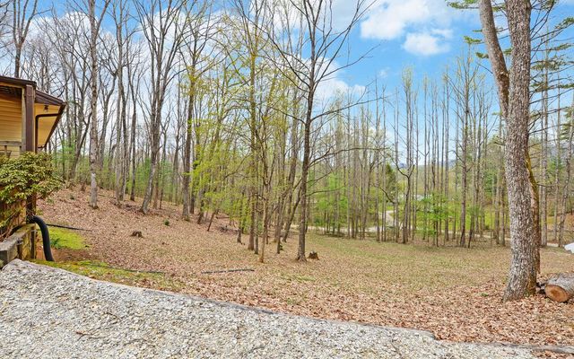 210 Mcdaniel Lane, Suches, GA 30572