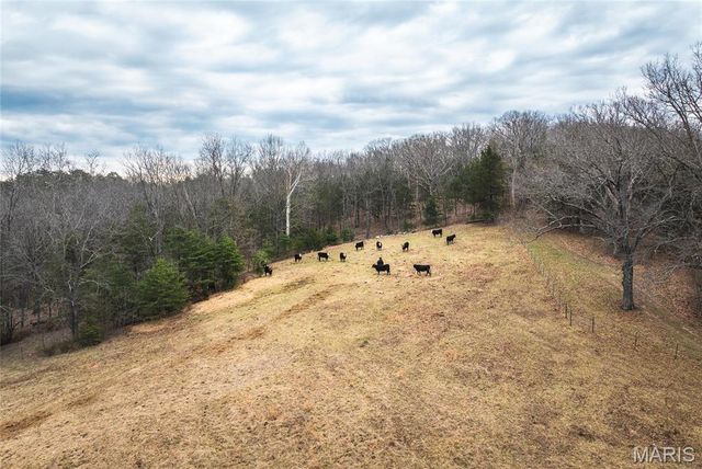 1933 First Creek Road, Hermann, MO 65041