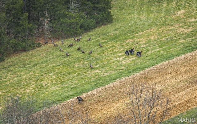 1933 First Creek Road, Hermann, MO 65041