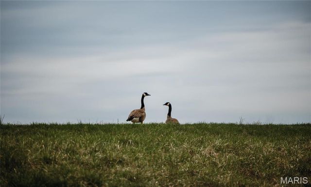 1933 First Creek Road, Hermann, MO 65041