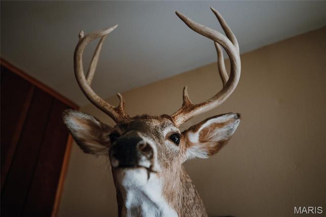 1933 First Creek Road, Hermann, MO 65041