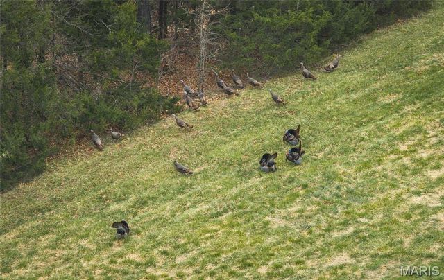 1933 First Creek Road, Hermann, MO 65041