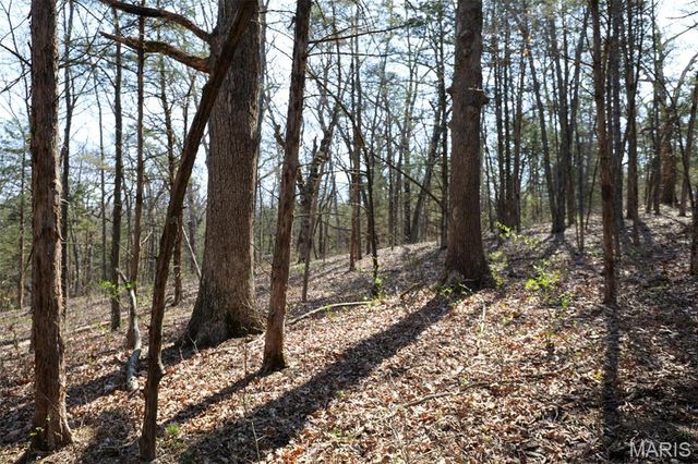 1933 First Creek Road, Hermann, MO 65041