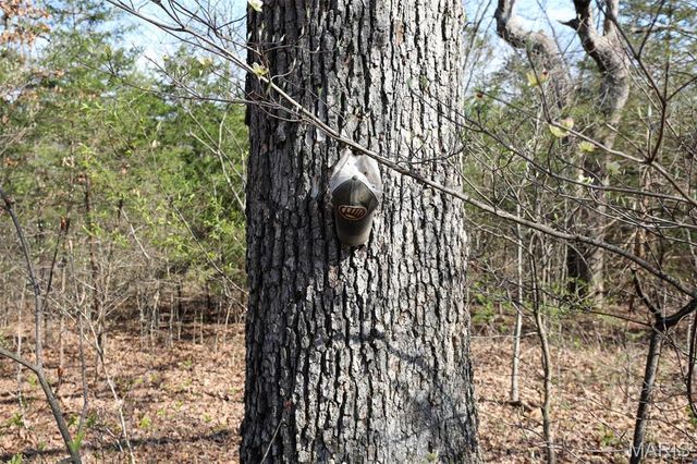 1933 First Creek Road, Hermann, MO 65041