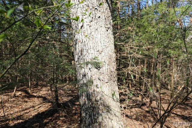 1933 First Creek Road, Hermann, MO 65041