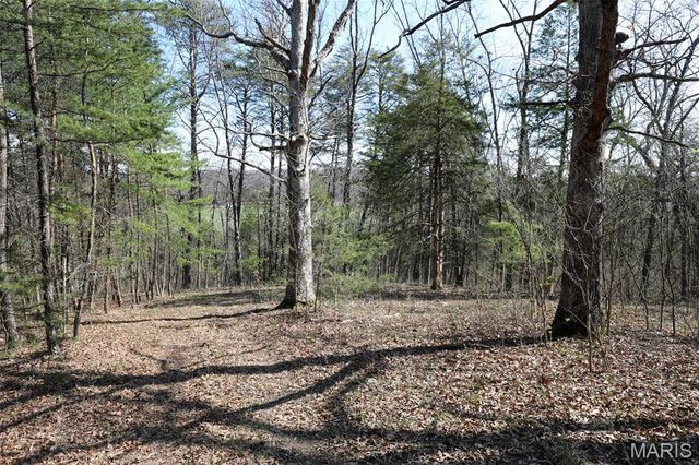 1933 First Creek Road, Hermann, MO 65041