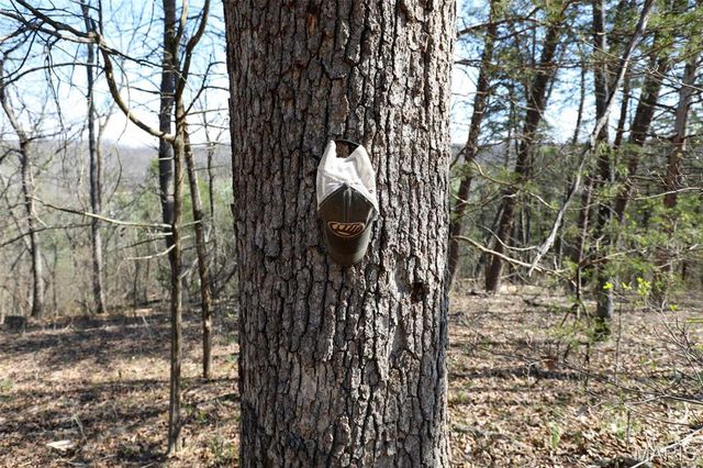 1933 First Creek Road, Hermann, MO 65041