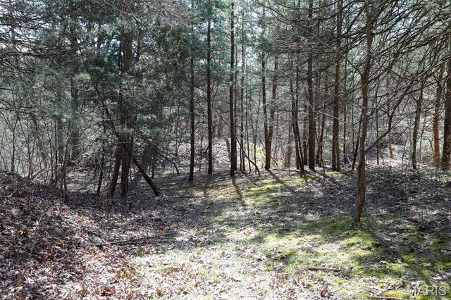 1933 First Creek Road, Hermann, MO 65041