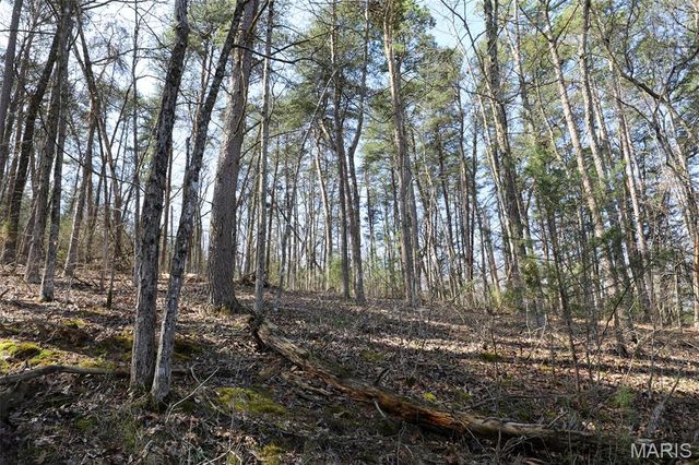 1933 First Creek Road, Hermann, MO 65041