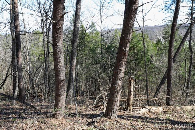 1933 First Creek Road, Hermann, MO 65041