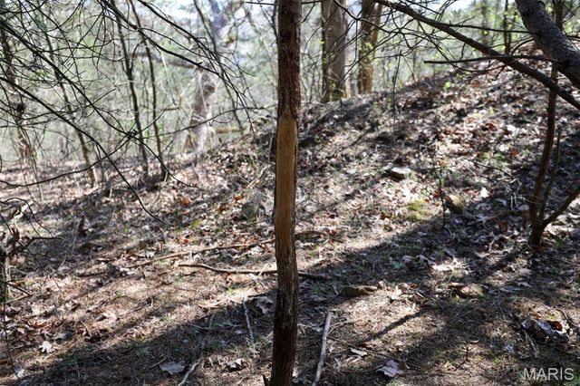 1933 First Creek Road, Hermann, MO 65041