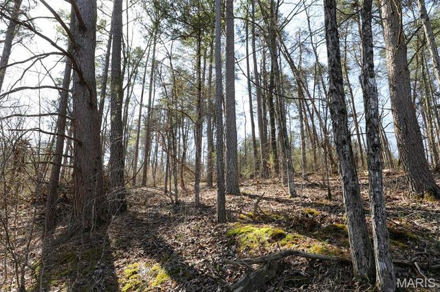 1933 First Creek Road, Hermann, MO 65041