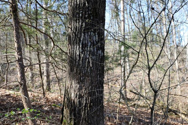 1933 First Creek Road, Hermann, MO 65041