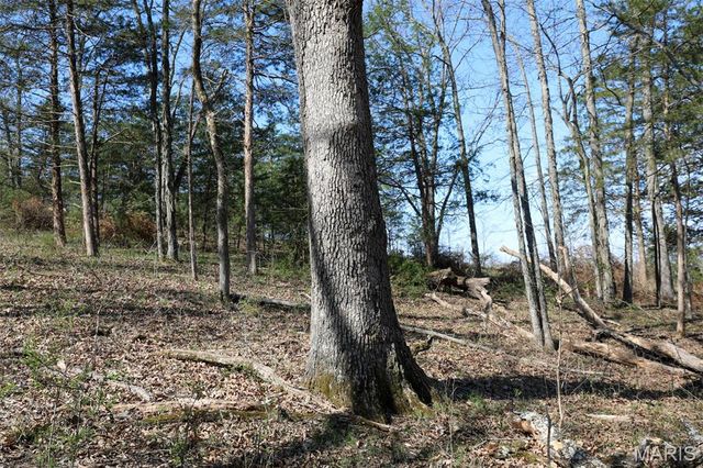 1933 First Creek Road, Hermann, MO 65041