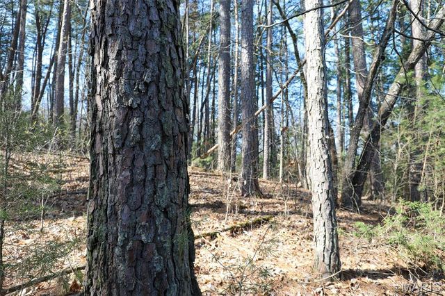 1933 First Creek Road, Hermann, MO 65041