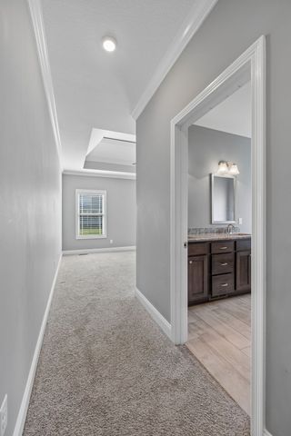 1045 Black Gum Ln, Clarksville, TN 37043
