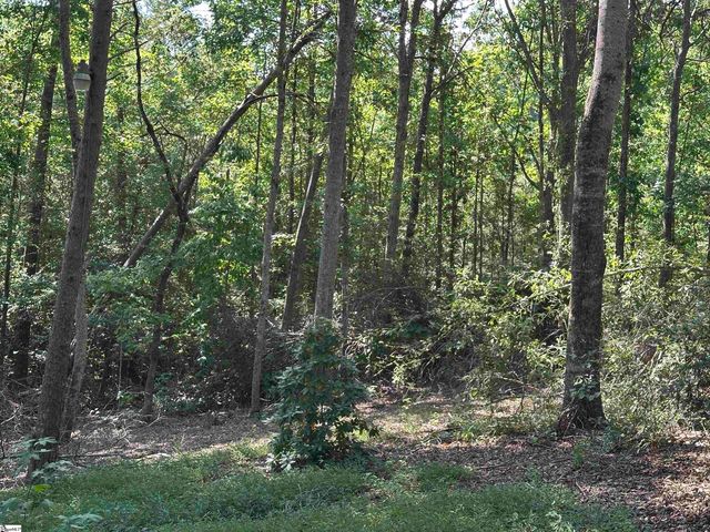 106 Clearmont Court, Easley, SC 29642