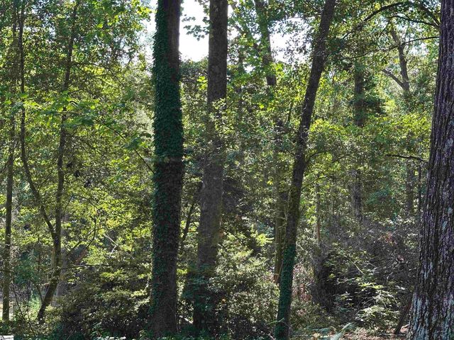 106 Clearmont Court, Easley, SC 29642