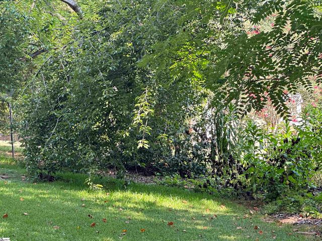 106 Clearmont Court, Easley, SC 29642