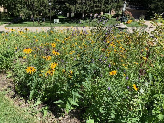 8047 Somerset Road, Woodbury, MN 55125