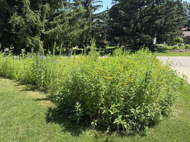 8047 Somerset Road, Woodbury, MN 55125