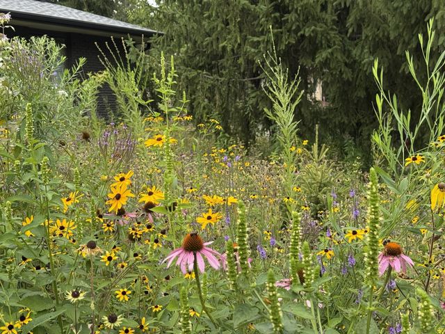 8047 Somerset Road, Woodbury, MN 55125