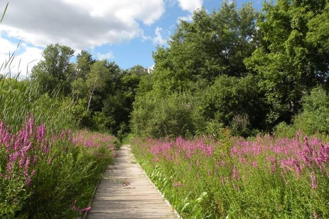 8047 Somerset Road, Woodbury, MN 55125