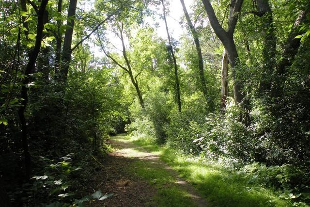 8047 Somerset Road, Woodbury, MN 55125