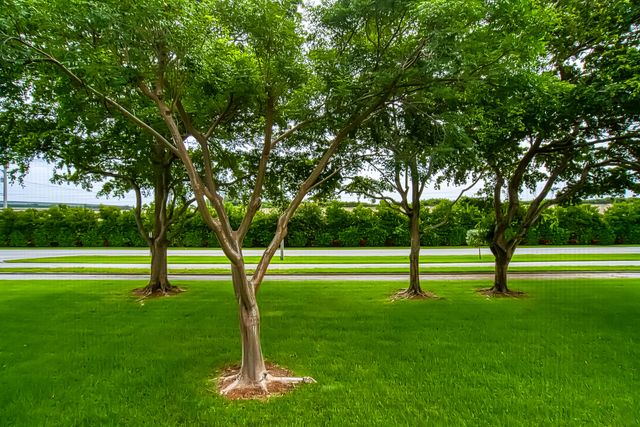 438 Mansfield K 438, Boca Raton, FL 33434