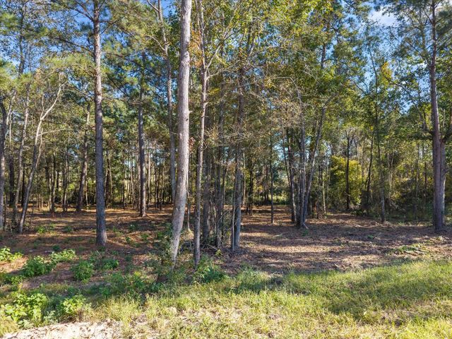 195 Bunkhouse Road, New Waverly, TX 77358