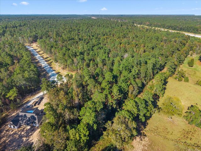 195 Bunkhouse Road, New Waverly, TX 77358