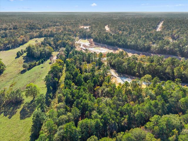 195 Bunkhouse Road, New Waverly, TX 77358