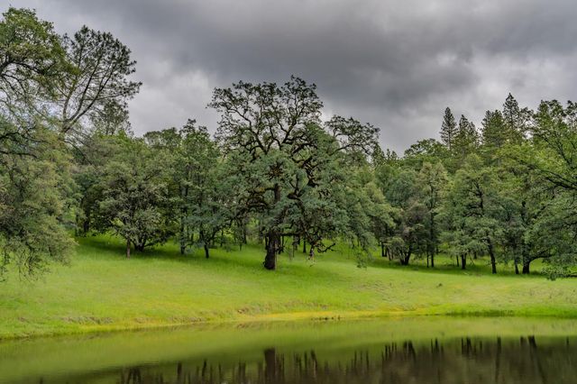 19351 Fiddletown Rd, Fiddletown, CA 95629