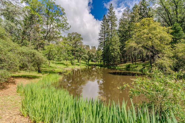 19351 Fiddletown Rd, Fiddletown, CA 95629