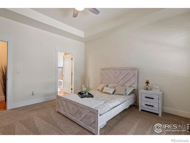 7401 Turnbull Court, Windsor, CO 80550