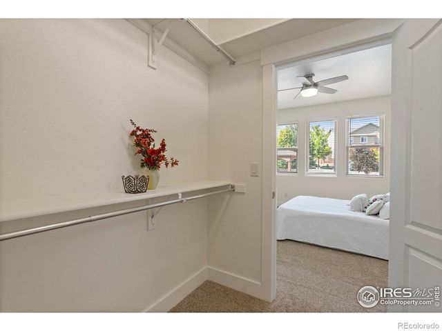 7401 Turnbull Court, Windsor, CO 80550