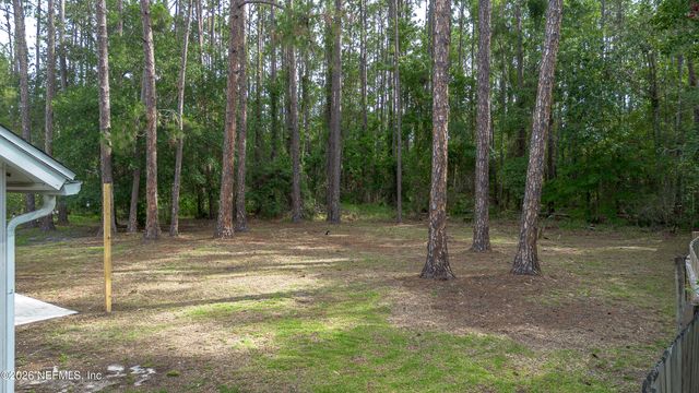 1745 ST IVES Drive, Middleburg, FL 32068