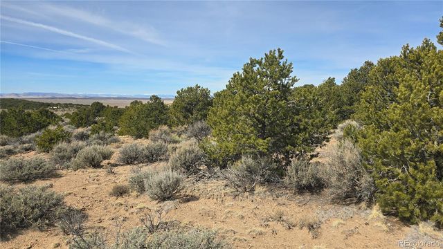 Lot 1075 Sylvia Road, Fort Garland, CO 81133