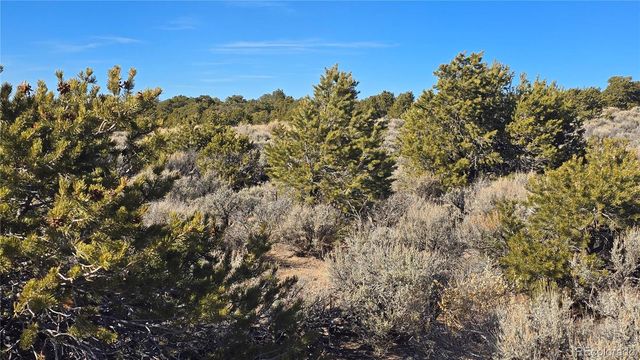 Lot 1075 Sylvia Road, Fort Garland, CO 81133