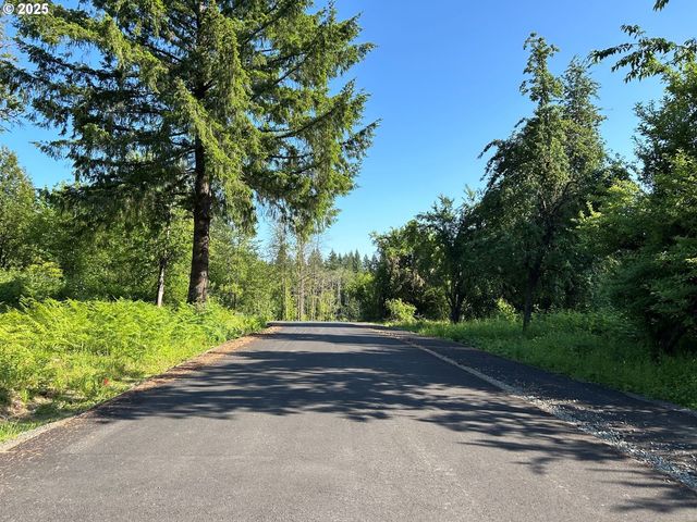 Ne Fargher Dr 1, Yacolt, WA 98675