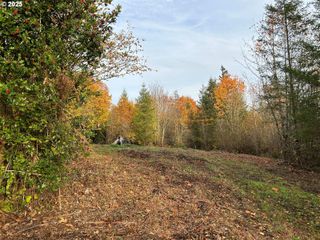 Ne Fargher Dr 1, Yacolt, WA 98675