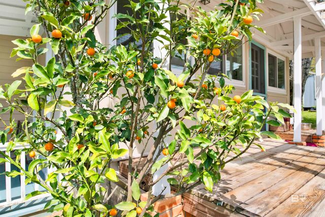 662 Fairhope Avenue, Fairhope, AL 36532