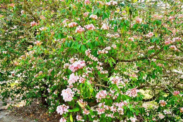 662 Fairhope Avenue, Fairhope, AL 36532