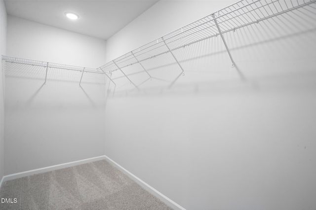 5367 Roshni Terrace, Mcleansville, NC 27301