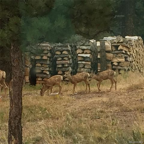 1041 County Road 200, Poncha Springs, CO 81242