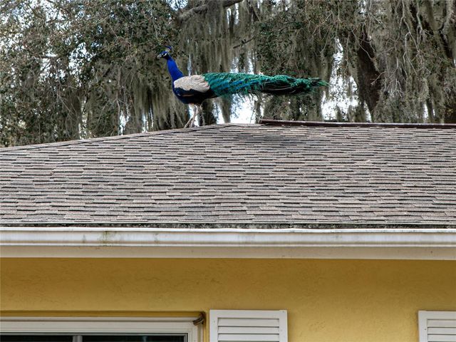 907 HILLSIDE TERRACE, Brandon, FL 33511